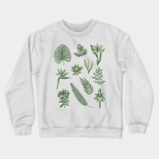 Leaf Him Crewneck Sweatshirt